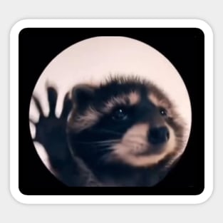 Dancing Racoon Meme Design Sticker